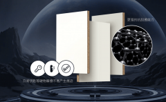 天为大师带来2025年板材行业十大品牌权势巨子榜